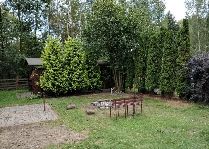 Czarcie Glazy * Wiele